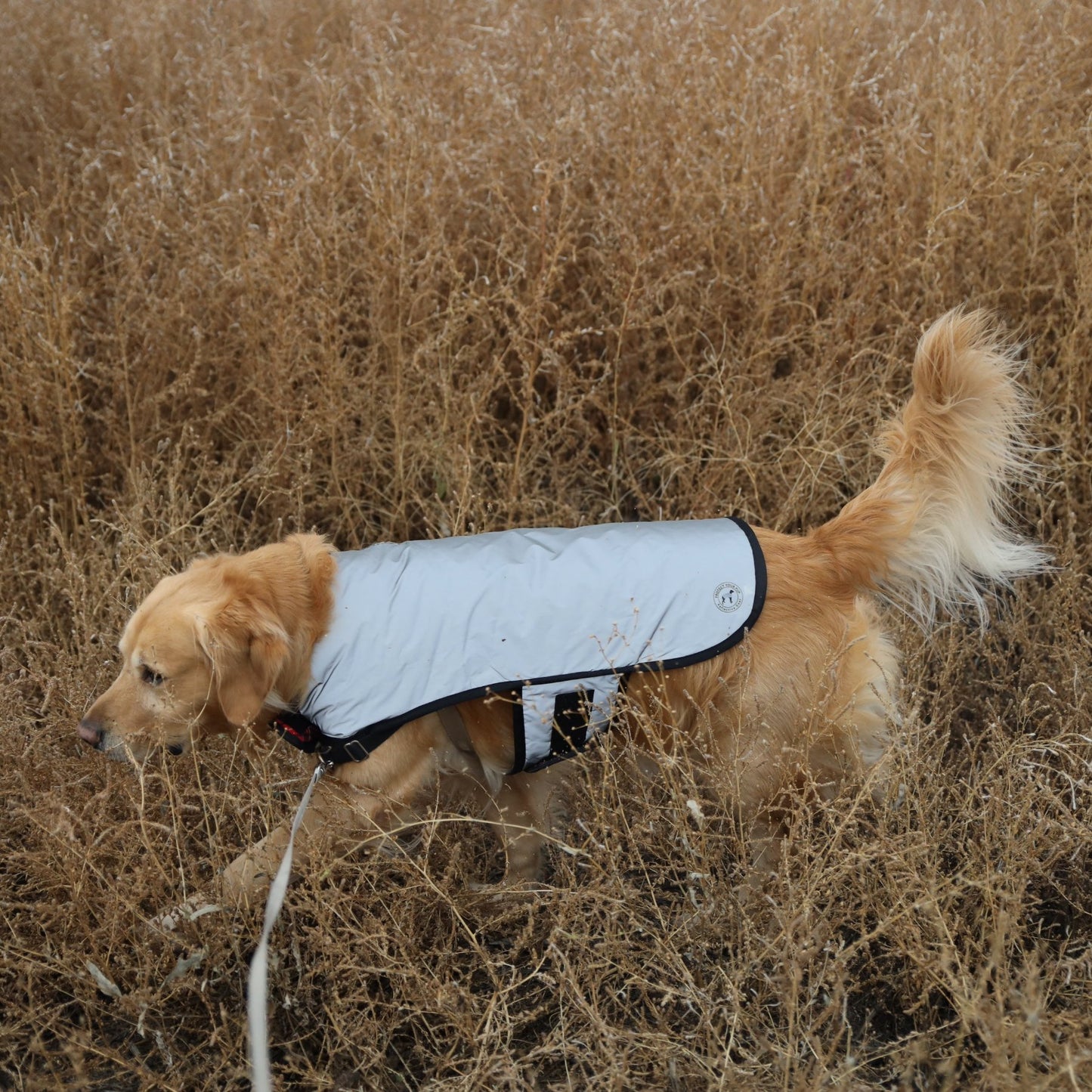 Reflective Insulated Dog Jacket