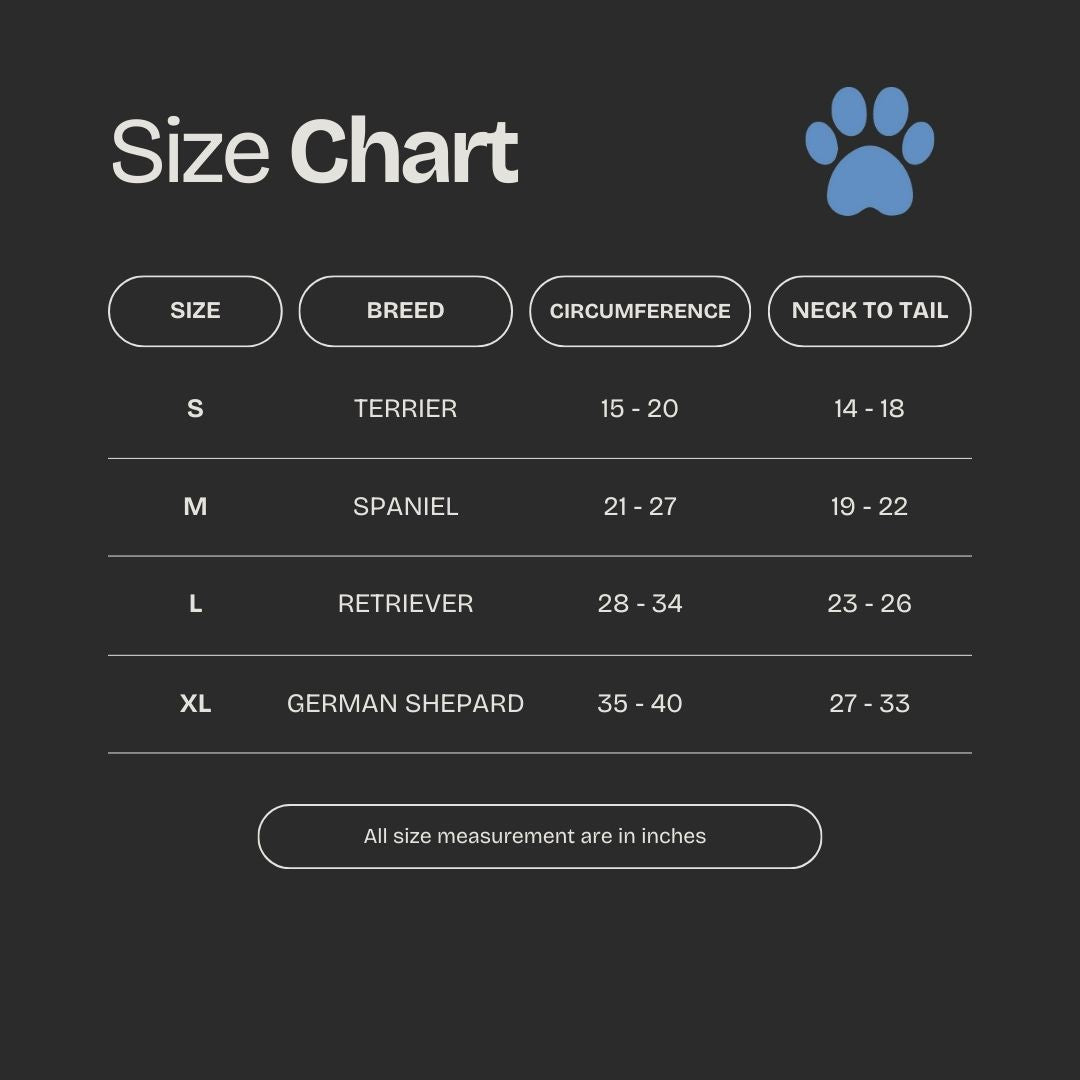 Summer Bundle: Reflective Running Hat and Dog Jacket (Lime Green)