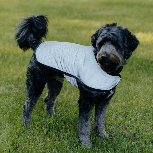 Reflective Mesh Dog Jacket