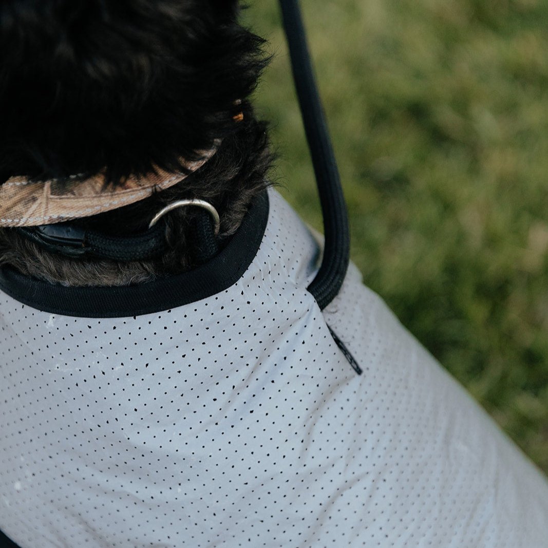 Reflective Mesh Dog Jacket