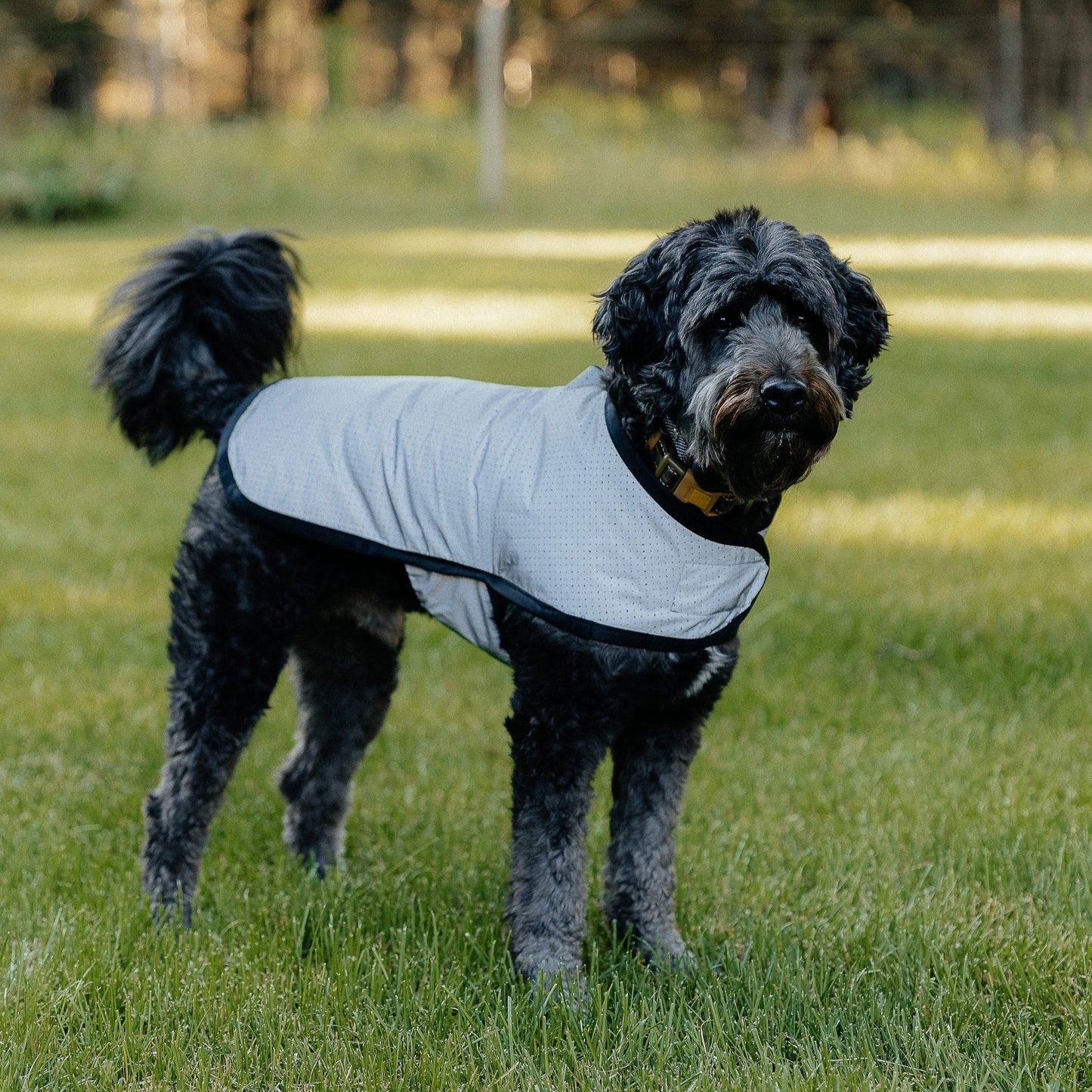 Summer Bundle: Reflective Running Hat and Dog Jacket (Black)