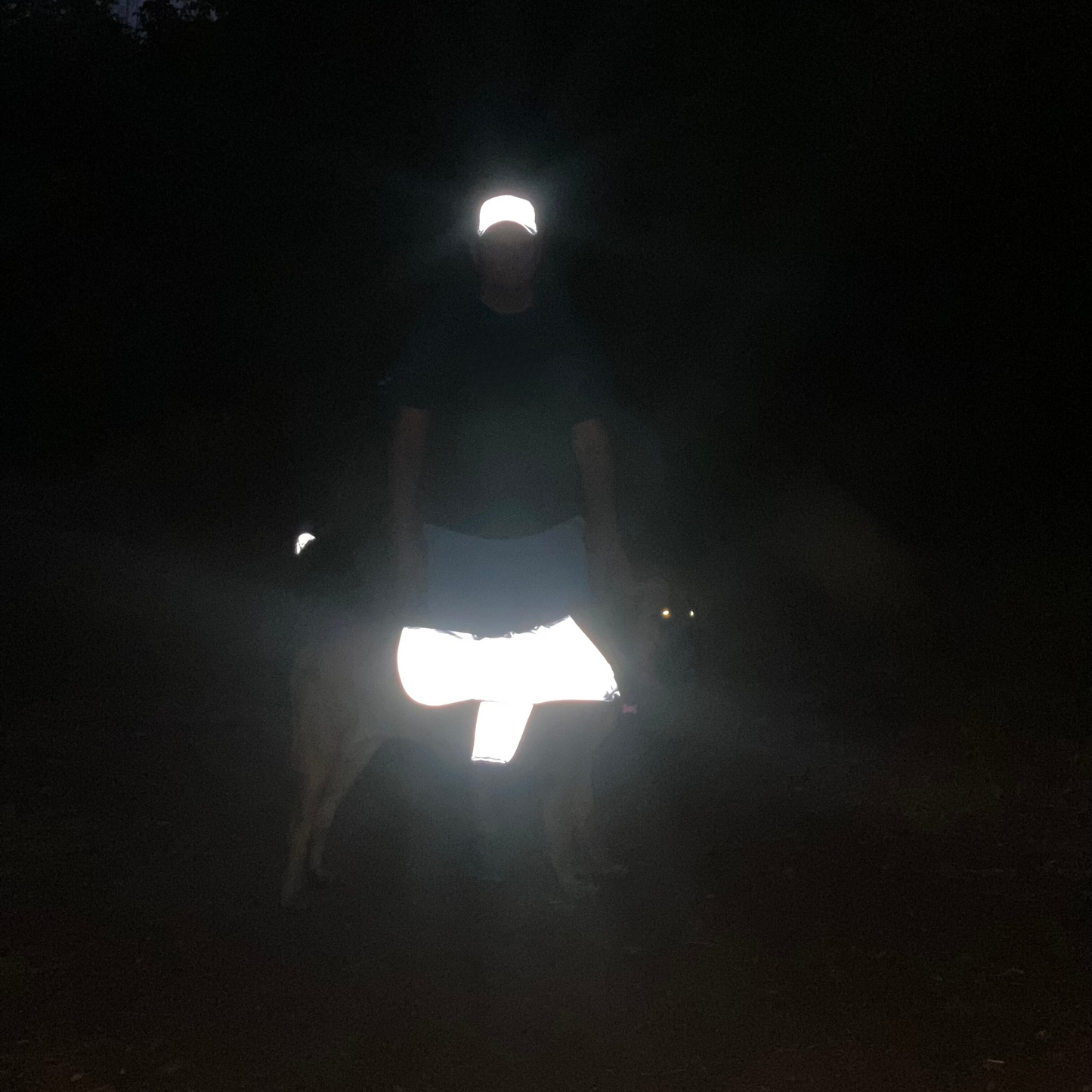 Summer Bundle: Reflective Running Hat and Dog Jacket (Lime Green)