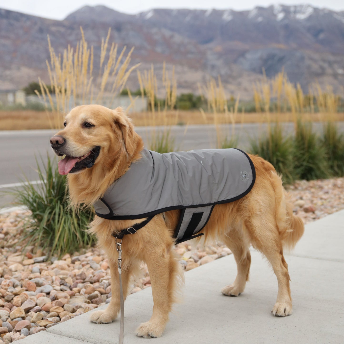 Reflective Insulated Dog Jacket