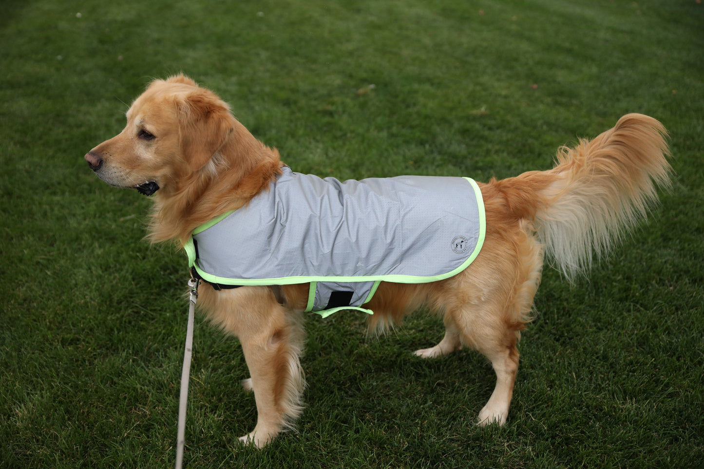 Summer Bundle: Reflective Running Hat and Dog Jacket (Lime Green)