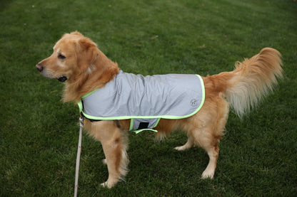 Summer Bundle: Reflective Running Hat and Dog Jacket (Lime Green)