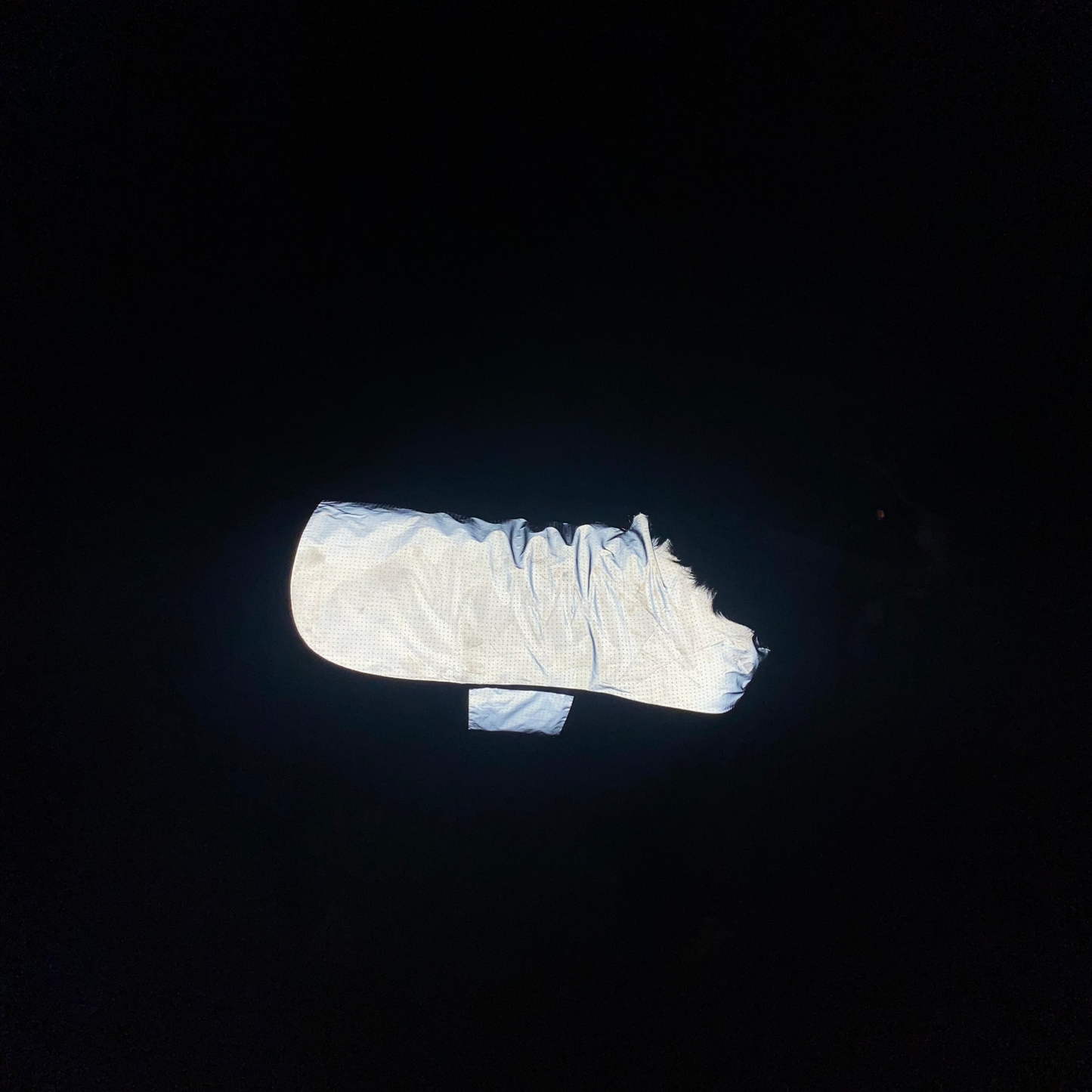 Reflective Insulated Dog Jacket